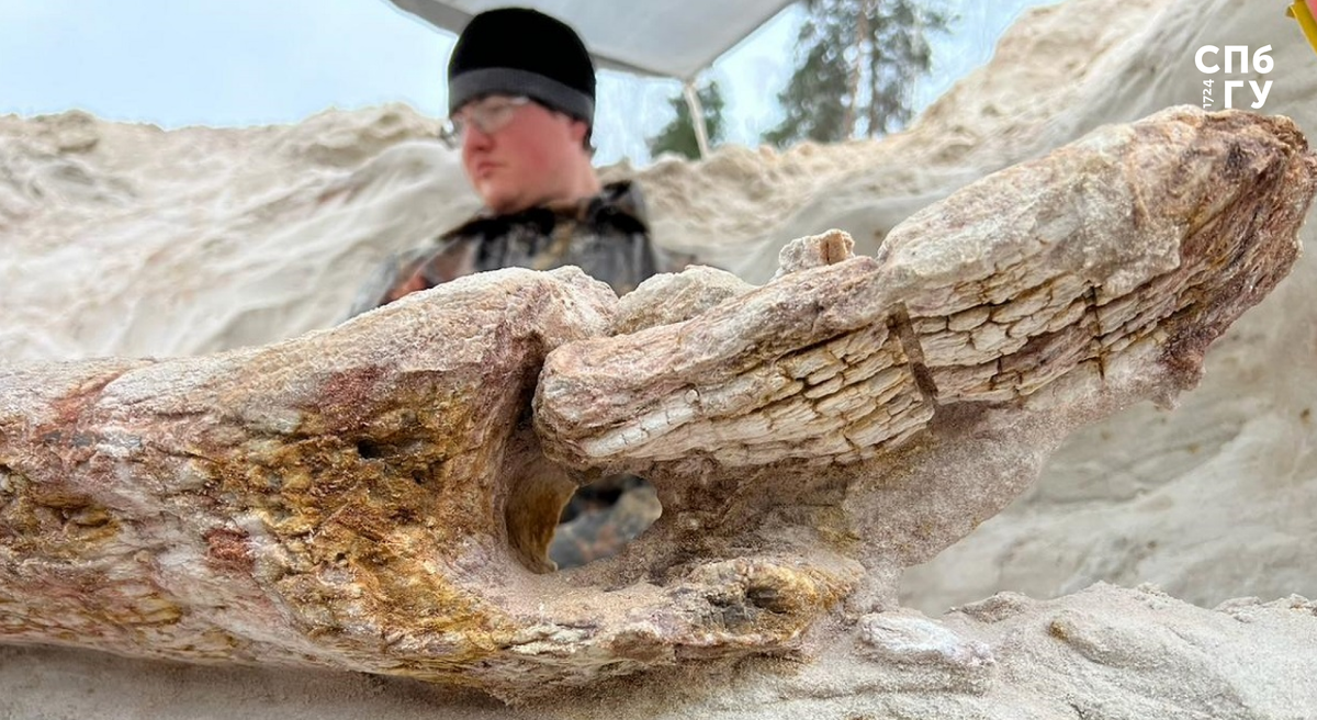 Иллюстрация предоставлена Дмитрием Григорьевым