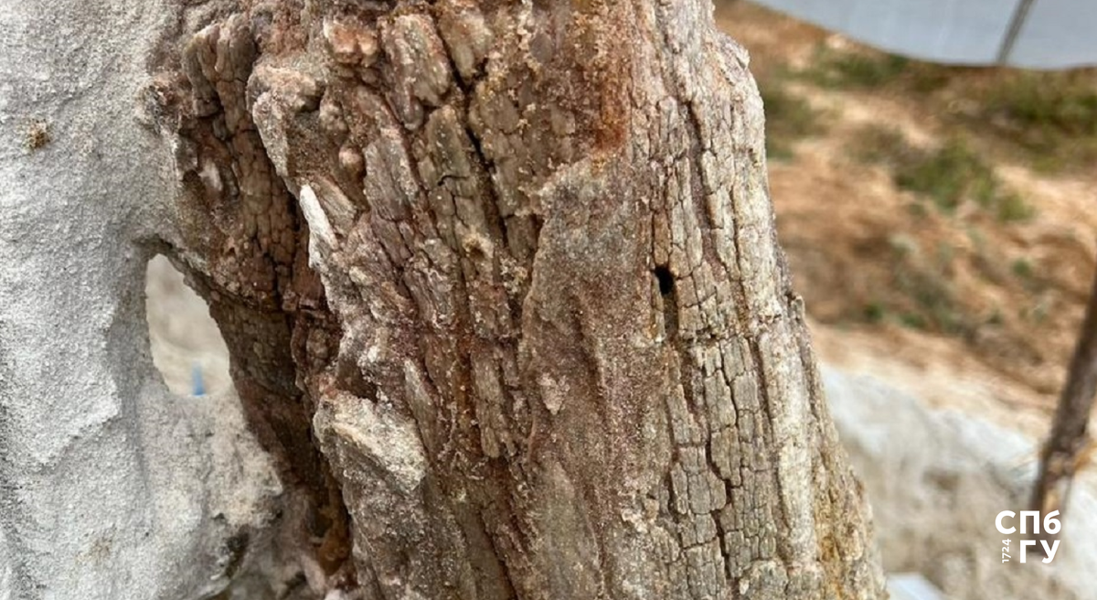 Иллюстрация предоставлена Дмитрием Григорьевым