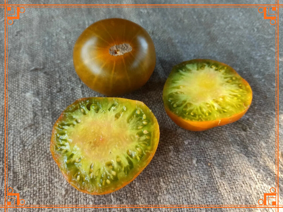 Фото из интернета. томат малахитовая шкатулка характеристика