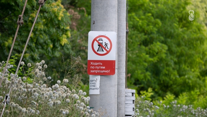      Фото: Валерия Алтухова / / ИА «Победа26»