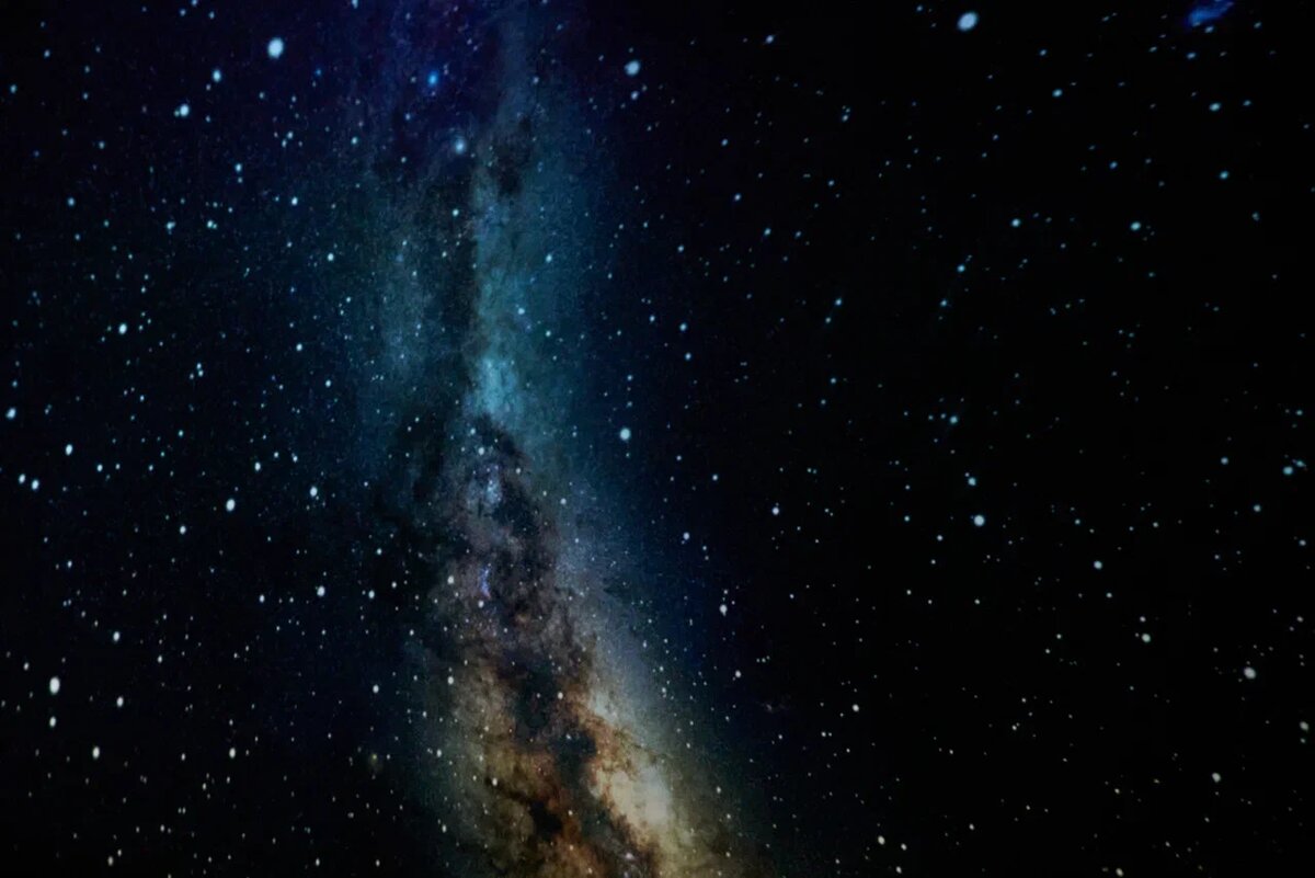    Фото: Анастасия Сибирякова