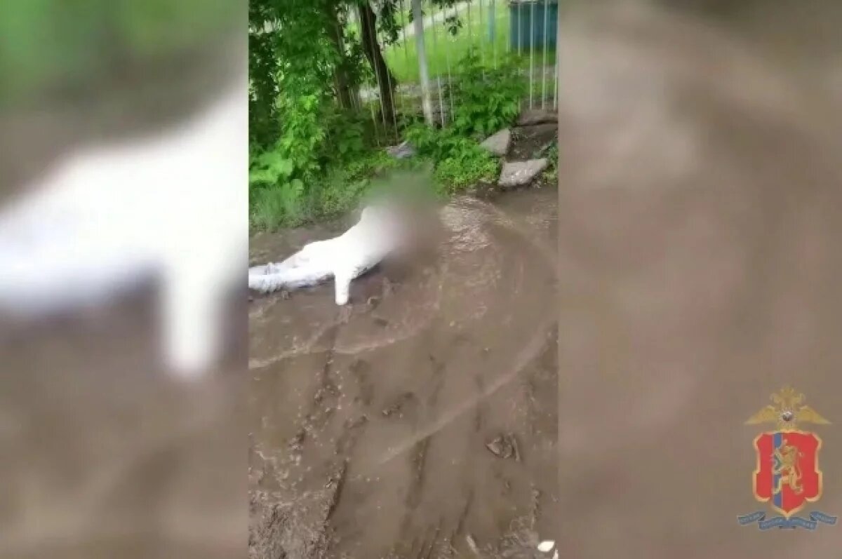    В Красноярске вынесли приговор членам банды, угрожавшим наркокурьерам