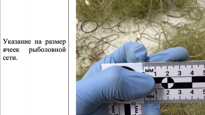    В Югре трое мужчин предстанут перед судом за вылов краснокнижной рыбы и её продажу в соцсетях