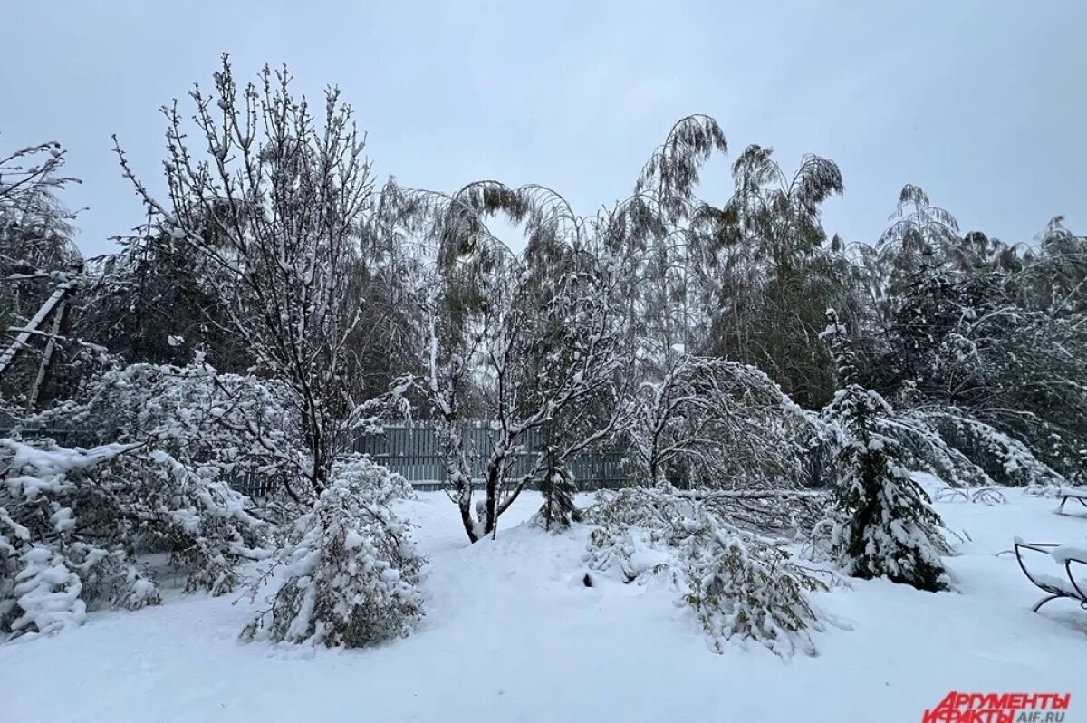    Из-за погоды энергетики в Коми работают в режиме повышенной готовности