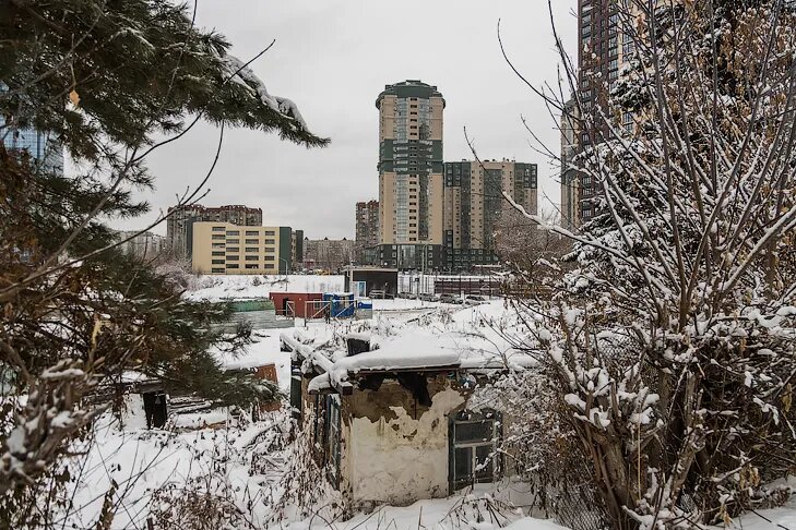    Фото Андрея Заржецкого