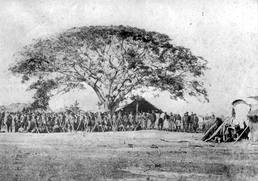 Яндекс картинки