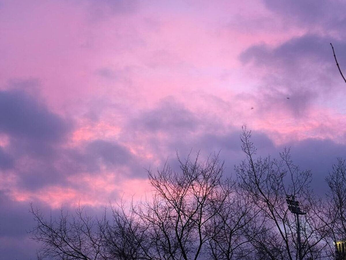    Фиолетовое небо на рассвете в районе улицы Басманной в Москве© Фото : РИА Новости