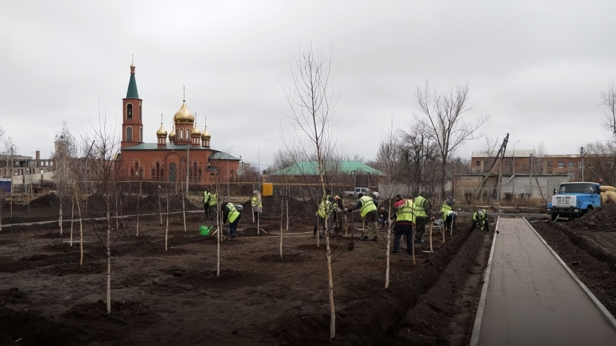    В Летном городке Энгельса обустроят экопарк в честь летчиков-героев Новости Саратова и области – Сетевое издание «Репортер64»