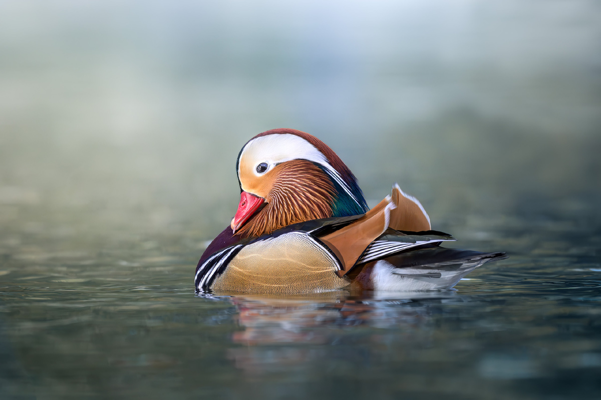 Герой съёмочного дня