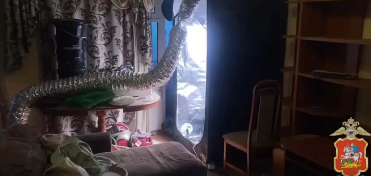    Фото: скриншот видео пресс-службы ГУ МВД РФ по Подмосковью