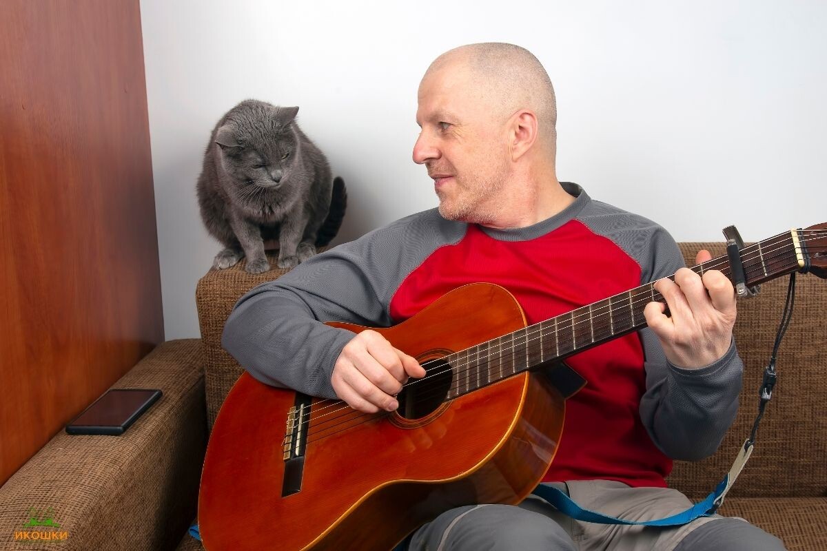 Нравится ли кошкам, когда им поют