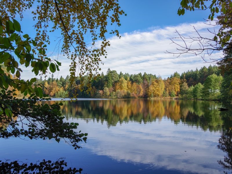 фото: официальный сайт Приокско-Террасного заповедника