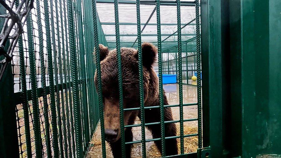    © АО "ТВ Центр"