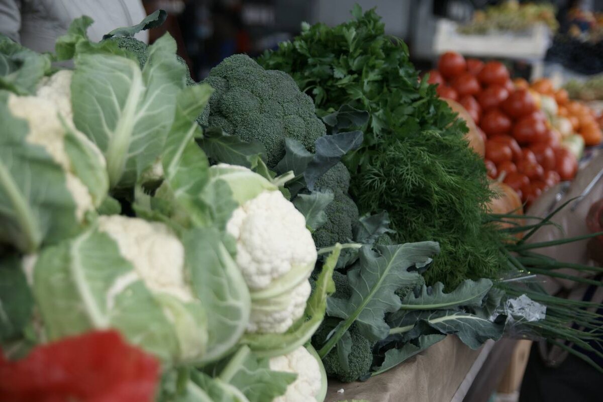 Фото: Правительство Курской области