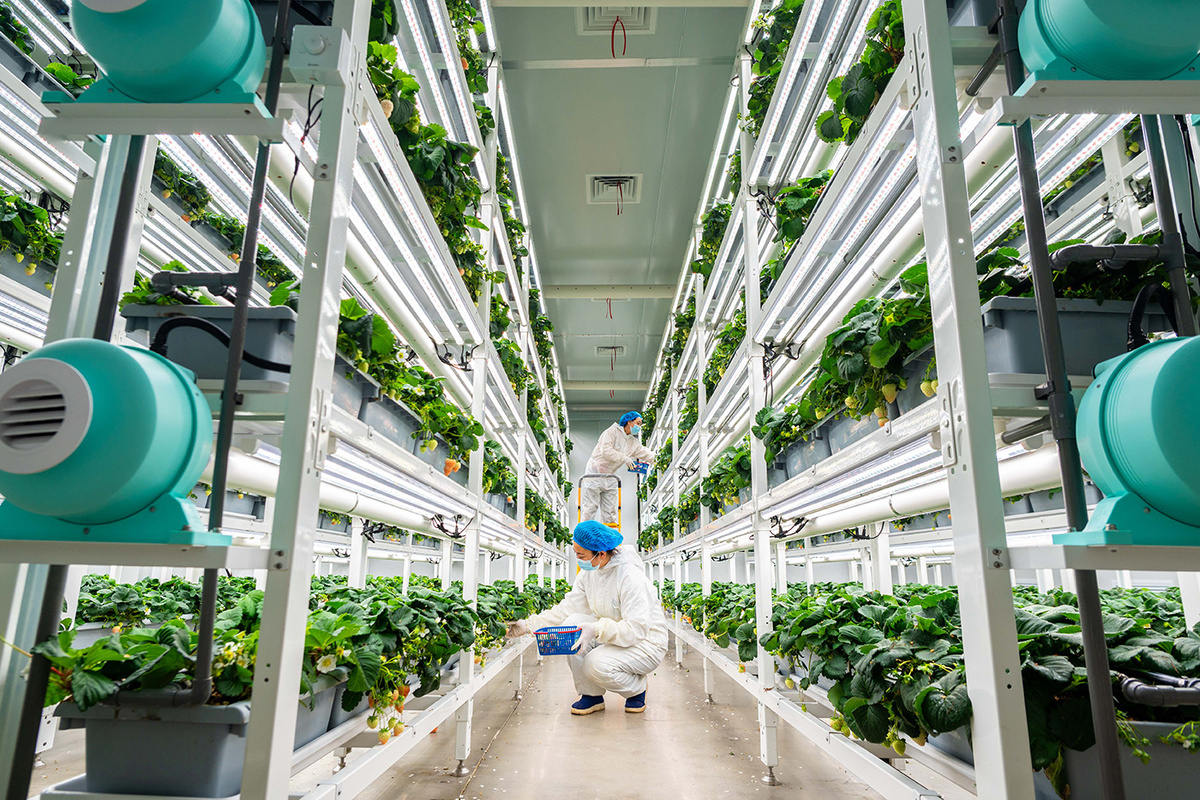    Ding Genhou / VCG / TASS