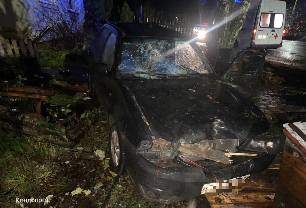    фото: © ГАИ Карелии