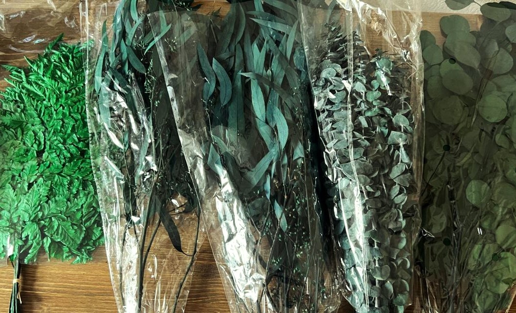 Стабилизированные растения