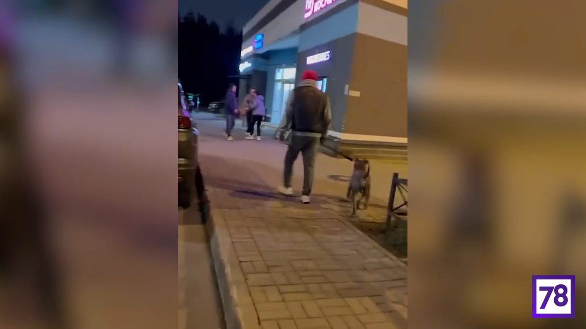 Фото: соцсети