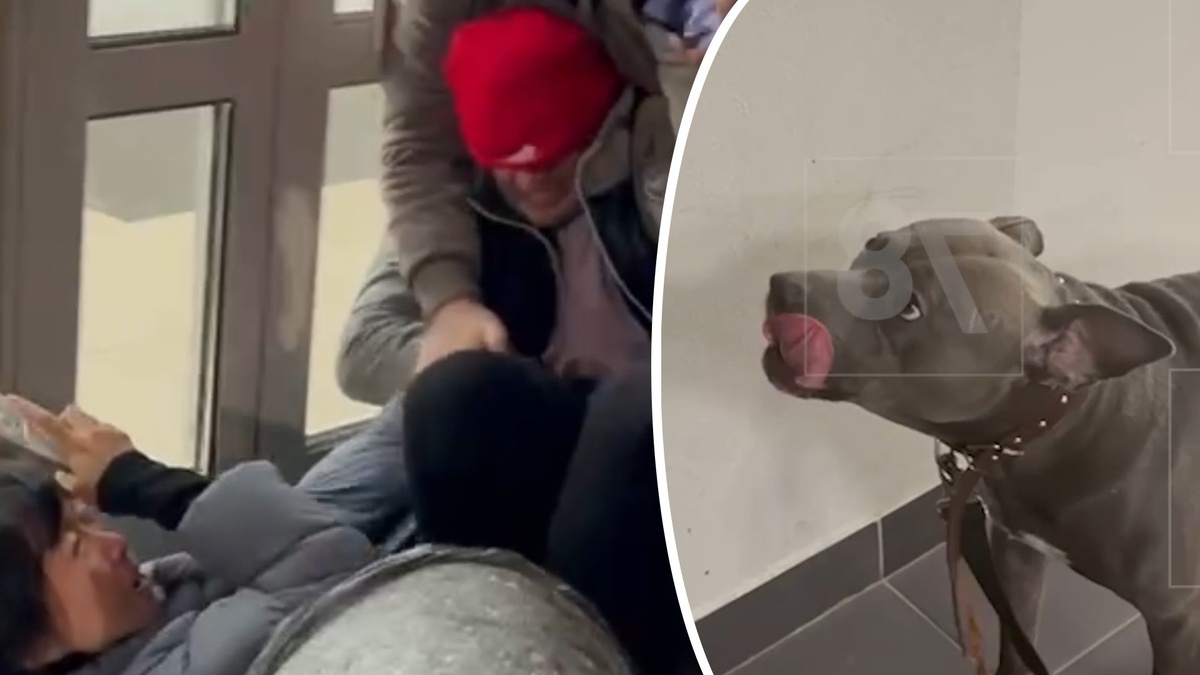 Фото: соцсети / 78.ru