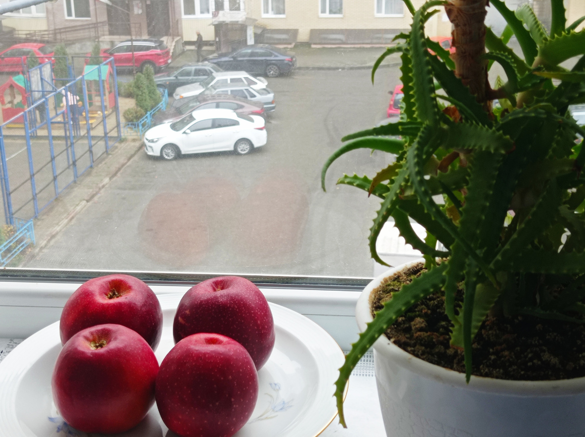 Фото окна и подоконника на моей кухне с видом во двор дома