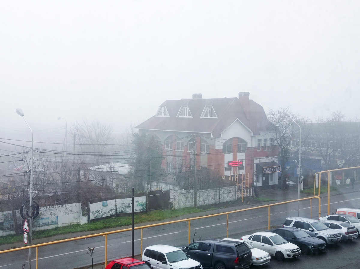 Осенний туман скрыл красоту деревьев в северном окне
