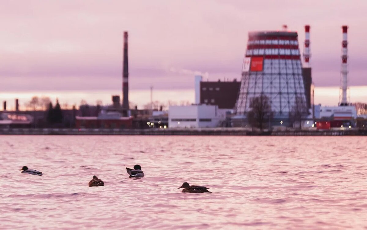    Погода в Ижевске на выходные: с 15 по 17 ноября ждем дождь, снег, солнце и не выше +4°С