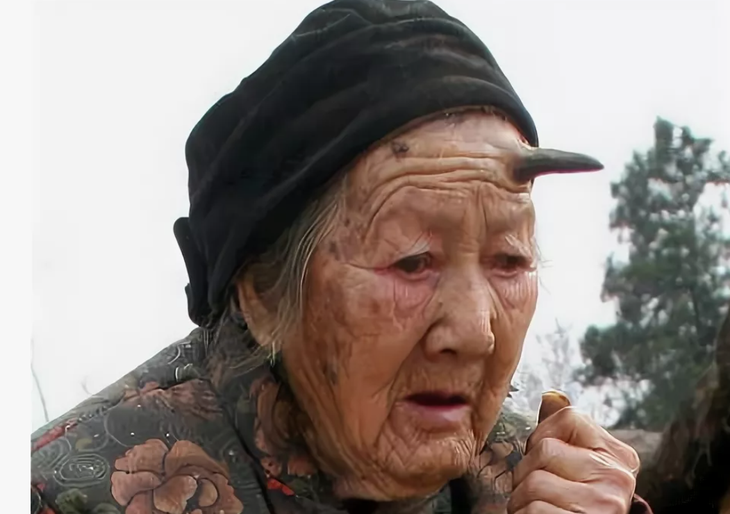 Фото из свободных источников в интернете