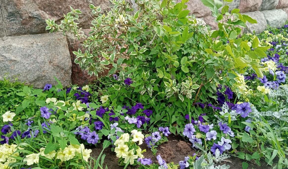    Фото: Пруфы.рф