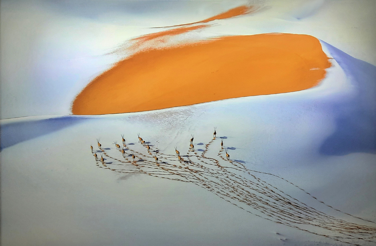 Все фотографии фотографий мои