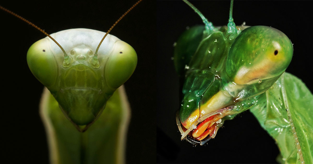 Janan & Andrey Tikhonovskiy / Unsplash