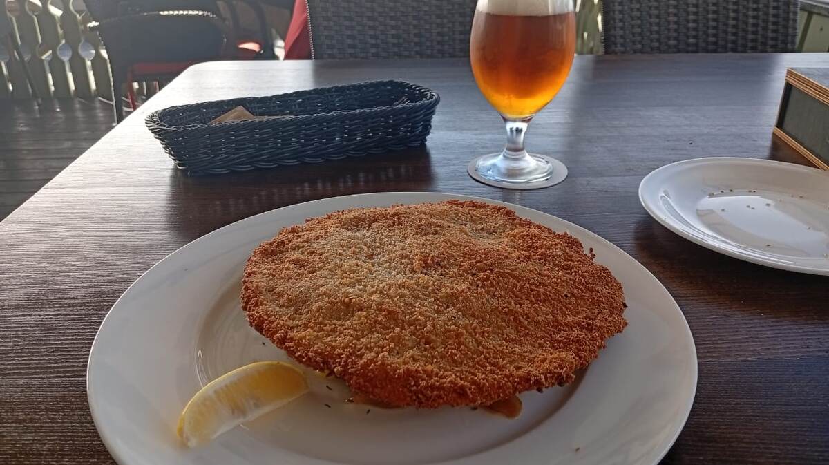 Отметим, что под шницелем затаился жареный картофель с карамелизированным луком.