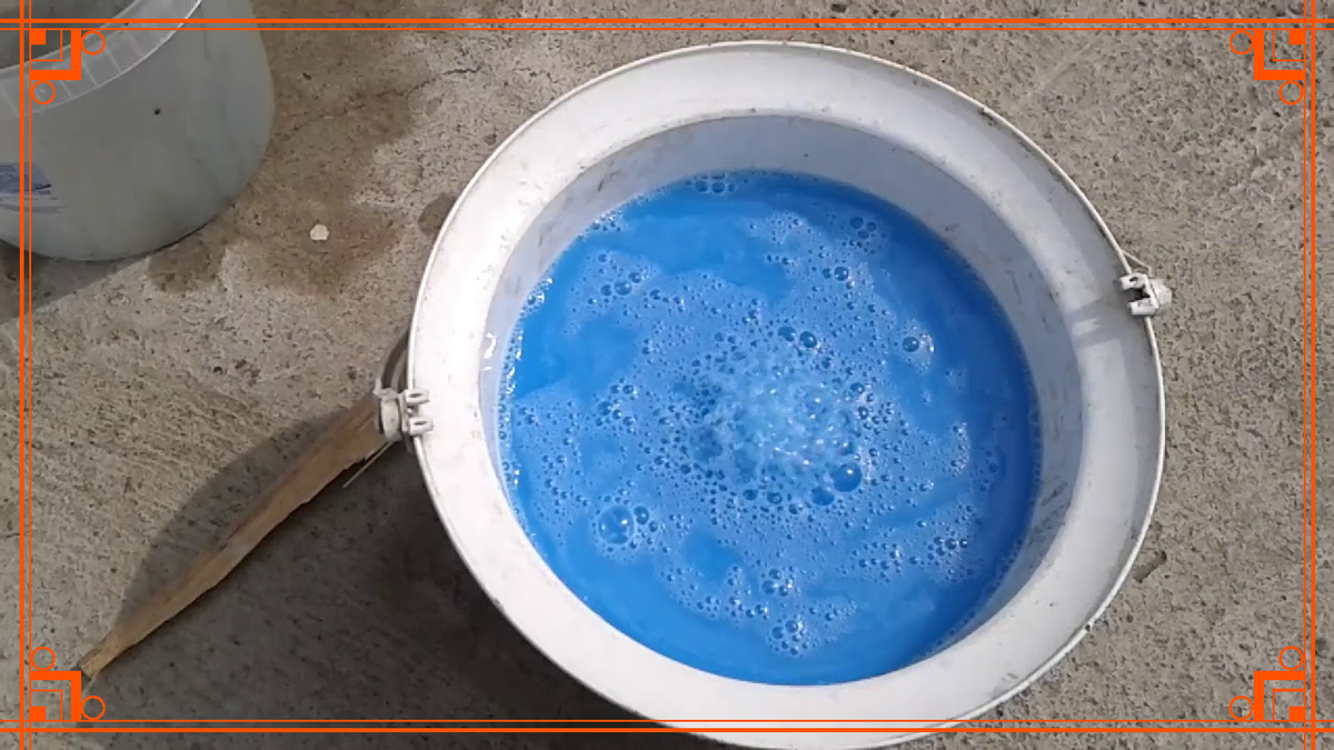 Фото из интернета. смесь бордоских