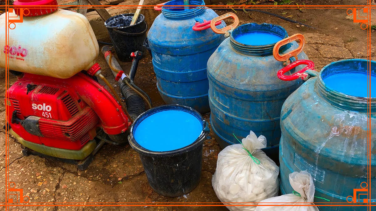 Фото из интернета. бордоская смесь изготовление