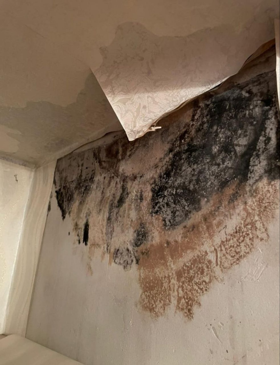 Фото: предоставлено владельцами пострадавшей квартиры.