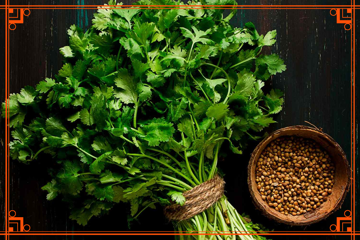 Фото из интернета. подзимний посев зелени