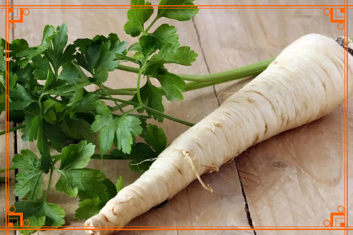 Фото из интернета. подзимние посевы