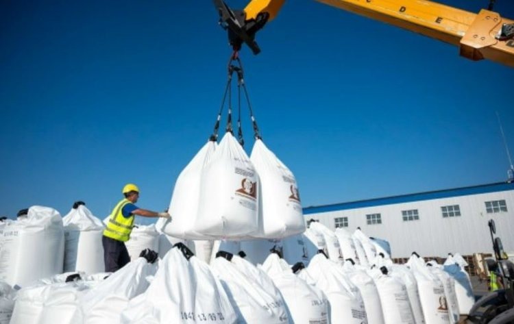    Фото: Минсельхоз Ставропольского края