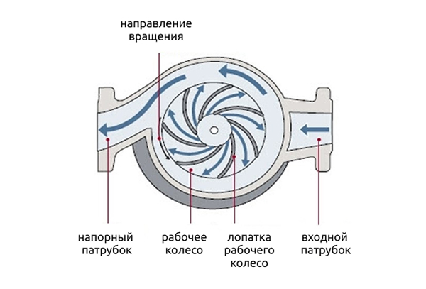 Движение жидкости и вращение рабочего колеса в центробежном насосе