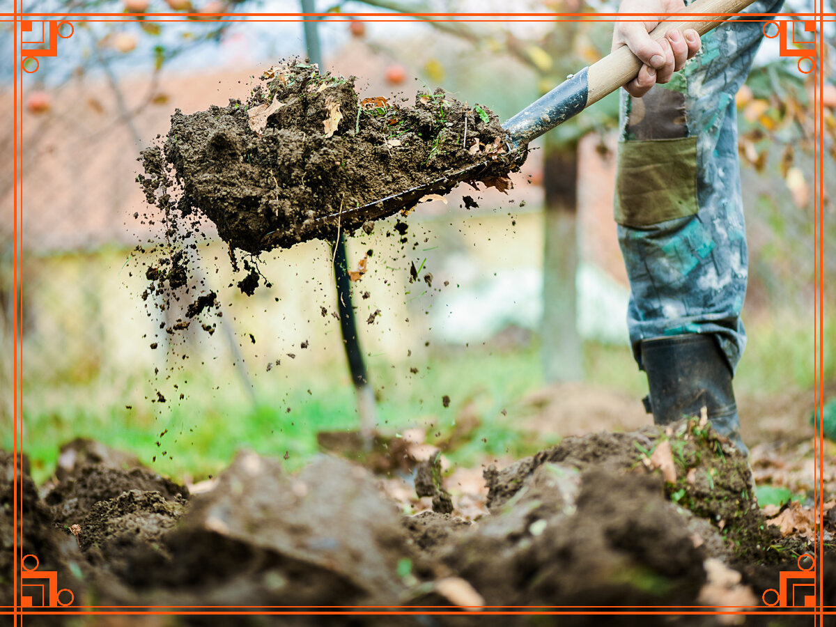 Фото из интернета. восстановить землю после химии