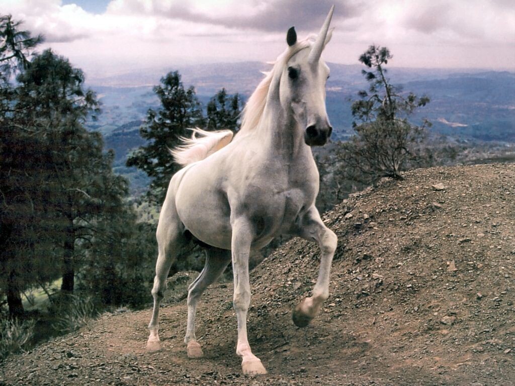 Фотография из интернета