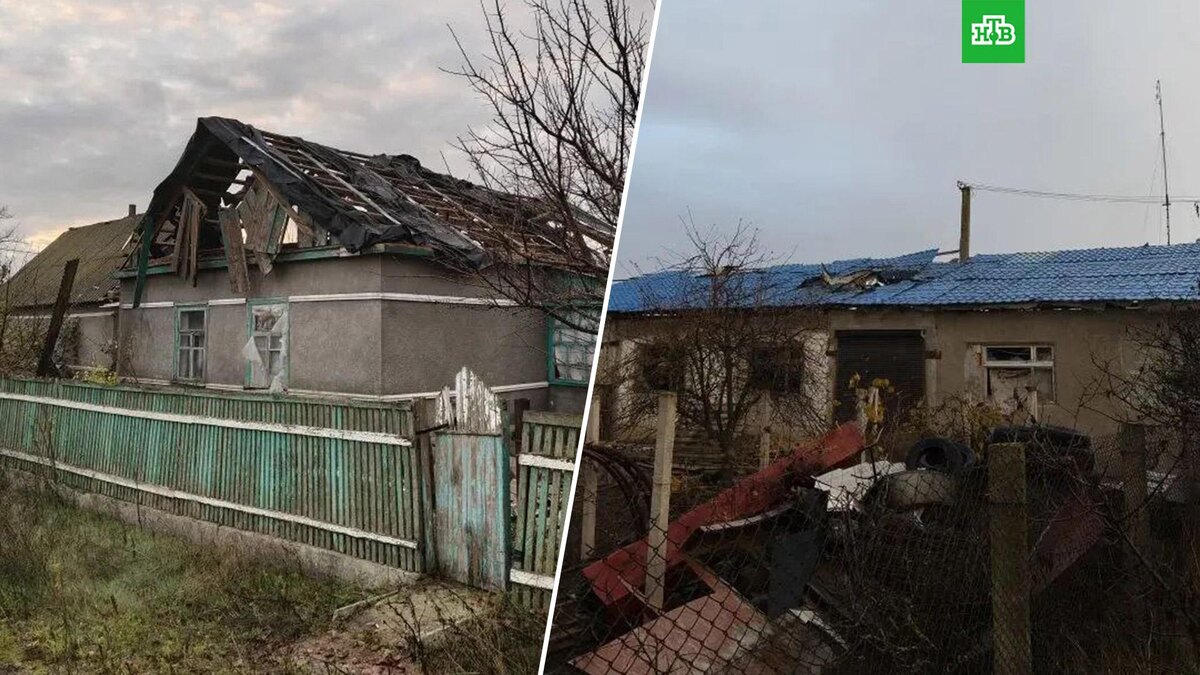    Фото: SALDO_VGA / t.me