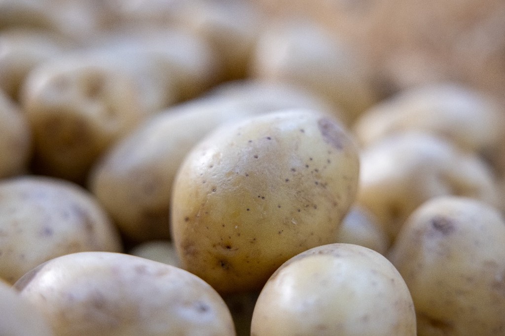    Фото © Владимир Андреев / Абзац