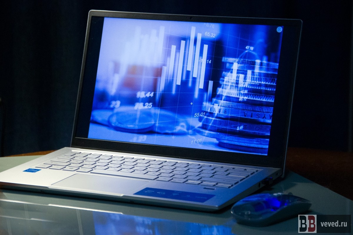     Фото: Андрей Гоголев / Вечерние ведомости