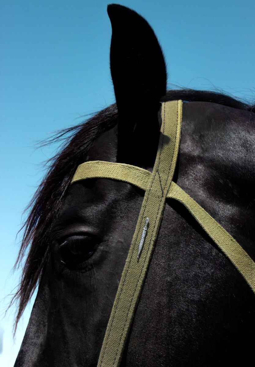 Брошь Shält бренда Mayralla