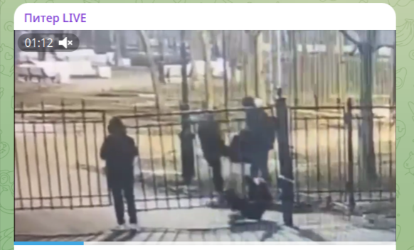 Фото: Telegram-канал "Питер LIVE"