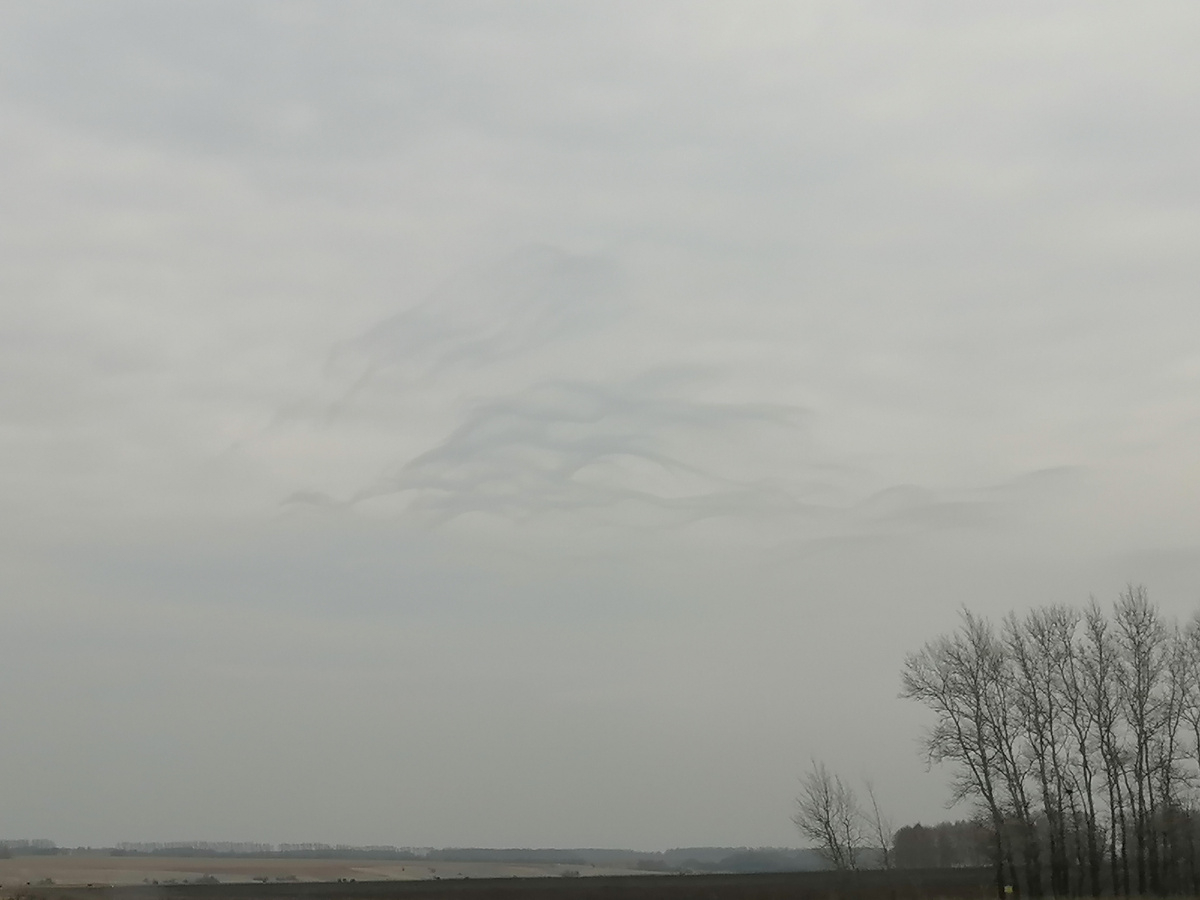 Какое небо не голубое, зато тучка интересная. 