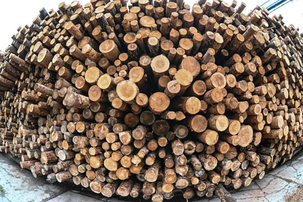 Фото: Сергей Елесин, ИА "Тюменская линия"