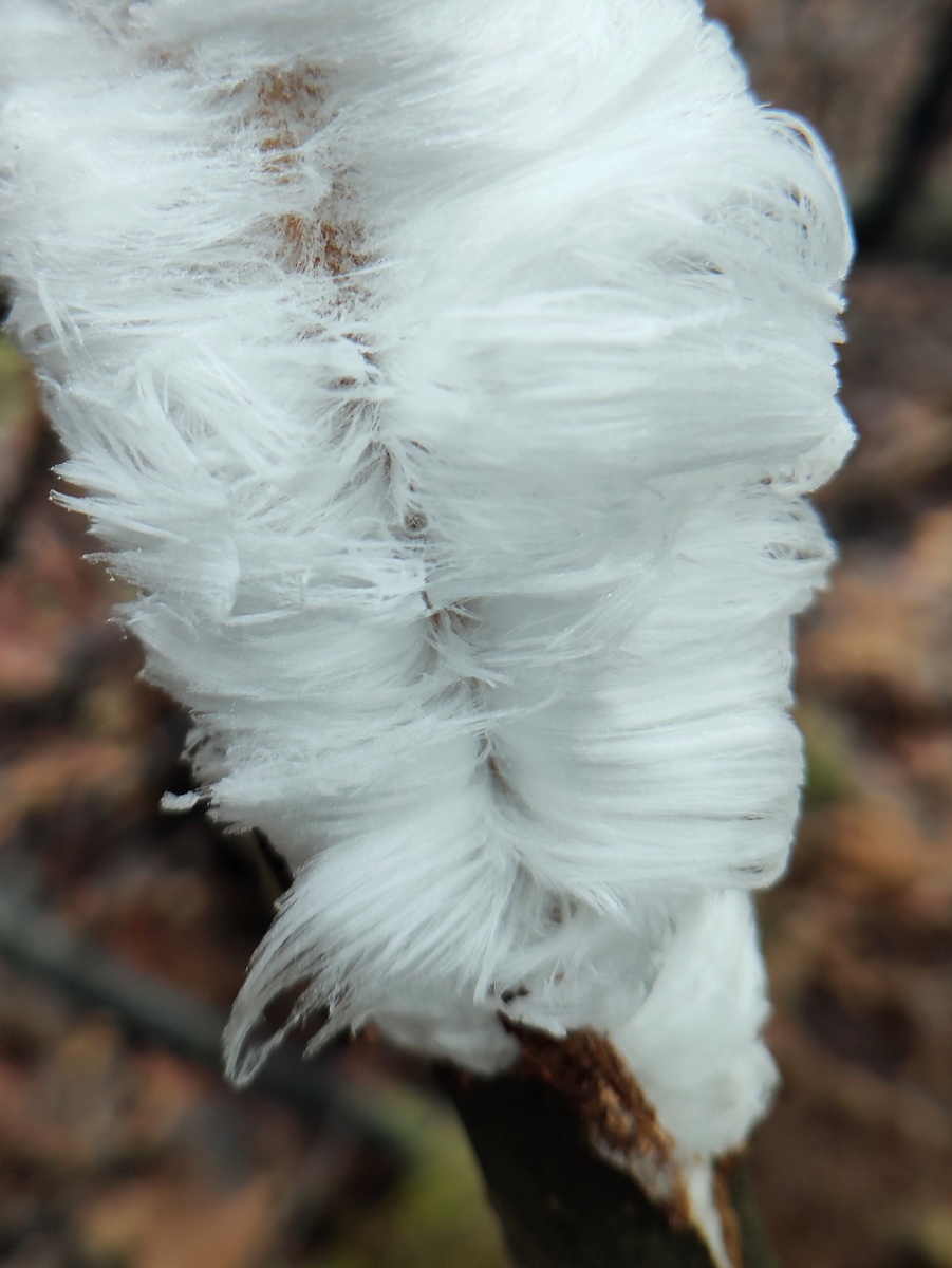 Фото Екатерины Калашниковой. 12.11.25