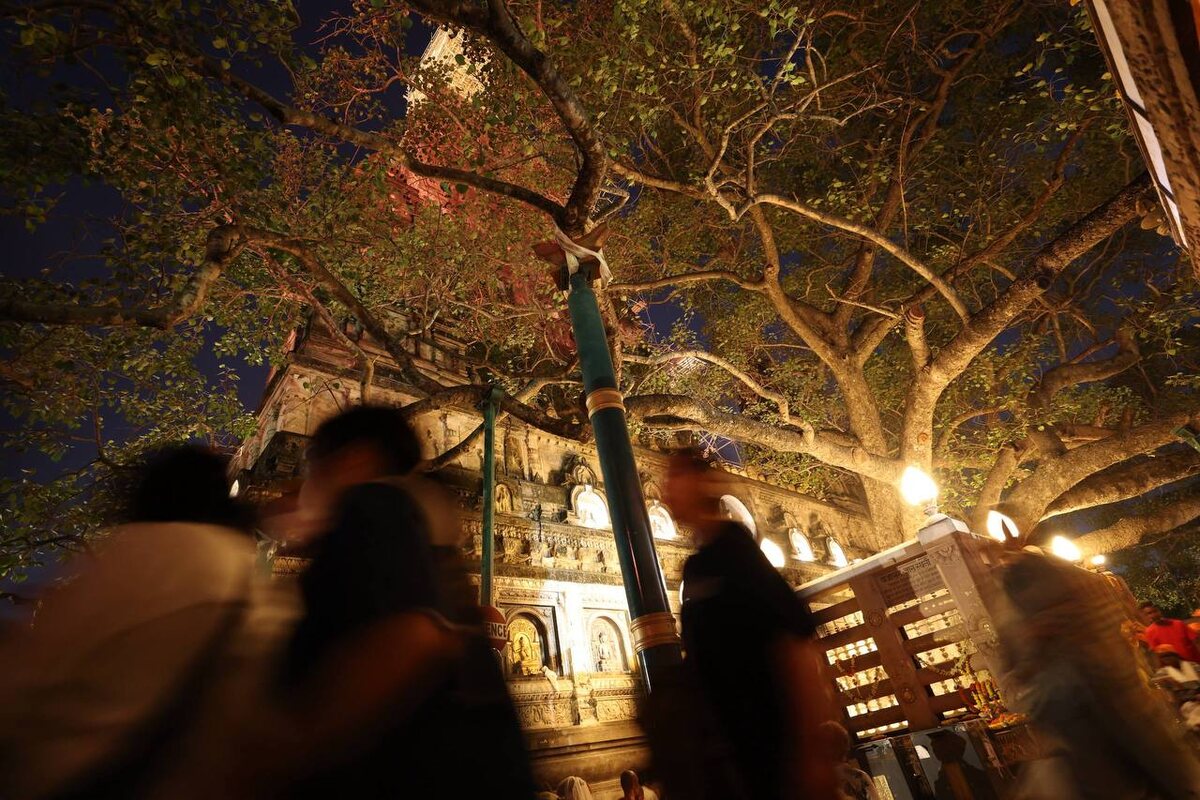 Дерево Бодхи, под которым Будда достиг просветления