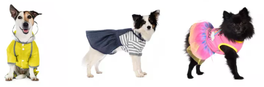 Фото не автора поста 